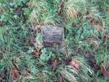image of grave number 374044
